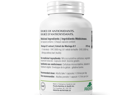 Provita - Moringa Forte | 60 Capsules