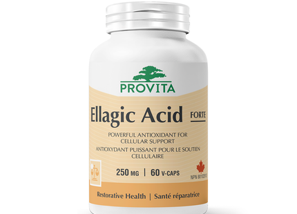 Provita - Ellagic Acid | 60 Capsules