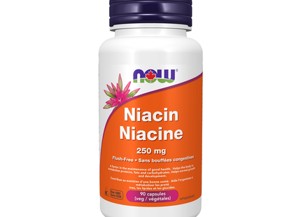 Now - Niacin 250 mg | 90 Veg-Capsules