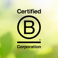 Collection image for: B Corp
