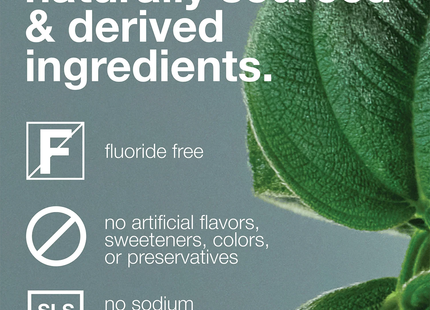 Davids Toothpaste - Spearmint Toothpaste | 149 g