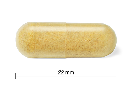 Youtheory - Ashwagandha | 60 gélules