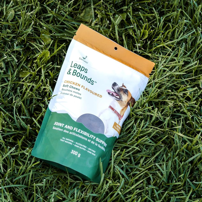 SierraSil - Leaps & Bounds Soft Chews - Chicken Flavoured
