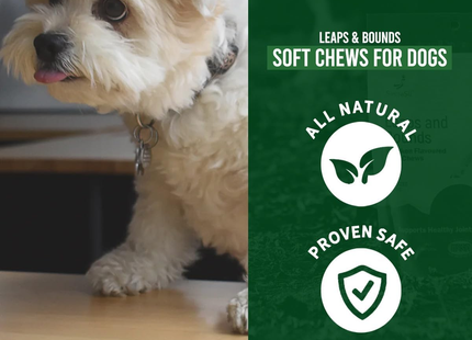 SierraSil - Leaps & Bounds Soft Chews - Chicken Flavoured