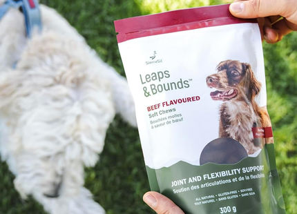 SierraSil - Leaps & Bounds Soft Chews - Beef Flavoured