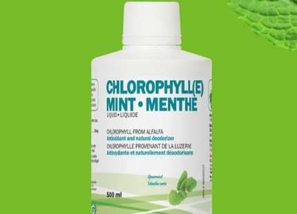 Liquide de chlorophylle Land Art - Menthe | 500 ml