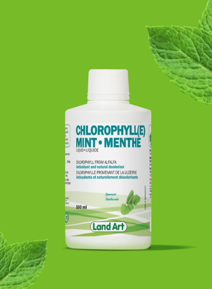 Land Art Chlorophyll Liquid - Mint | 500 mL