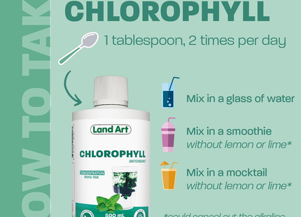 Land Art - Chlorophyll Liquid, Mint | 500 mL