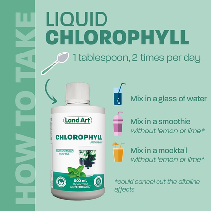 Land Art - Chlorophyll Liquid, Mint | 500 mL