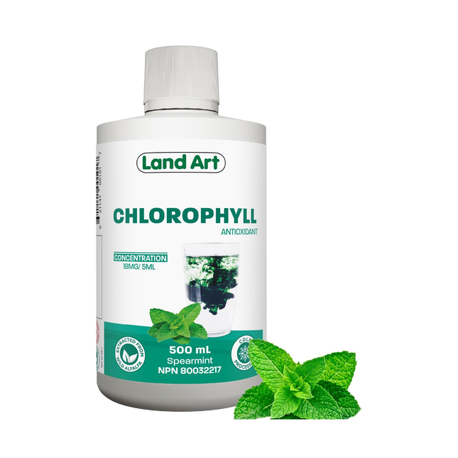 Land Art - Chlorophyll Liquid, Mint | 500 mL