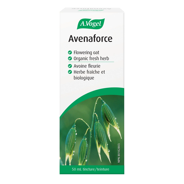 A.Vogel - Avenaforce Extrait Antioxydant d'Avoine Fraîche | 50 mL