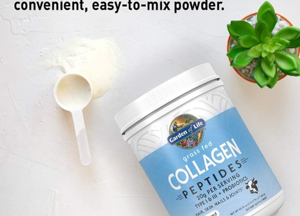 Garden of Life - Collagen Peptides | 560 g