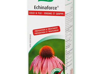 A.Vogel - Echinaforce - Cold & Flu - Homeopathic Prevention & Treatment Tincture | 100 mL