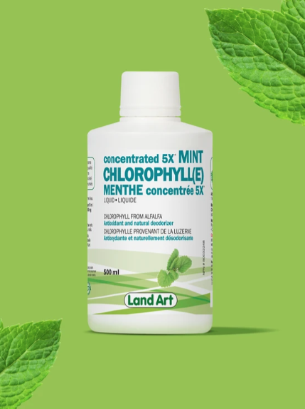 Land Art Chlorophyll 5X Liquid - Mint | 500 mL