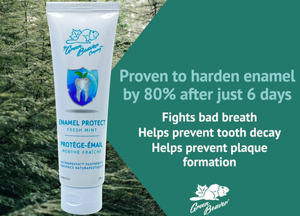 GB ENAMEL PROTECT - MENTHE FRAÎCHE | 100 g