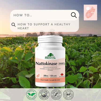 Provita - Nattokinase 2000 FU 100 mg Antithrombotic, Supports Cardiovascular Health | 120 Capsules