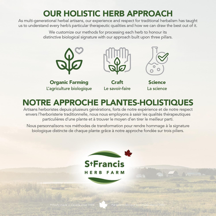 St. Francis - Castor Oil, Therapeutic Body Care | 500 mL