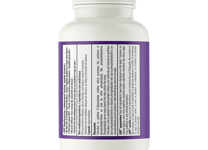DOUBLE PACK AOR - Citicoline | 60 Caps x 2
