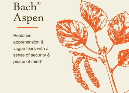 Bach - Feel Secure Aspen | 20 mL