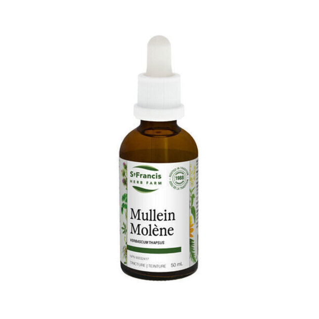 Molène de Saint-François | 50 ml