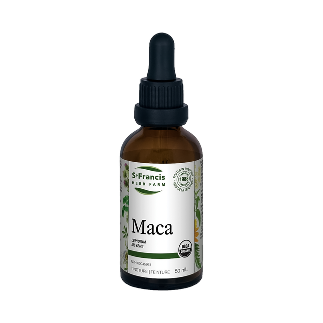 St. Francis - Maca Root Tincture | 50 mL