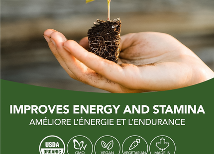 St. Francis - Maca Root Tincture | 50 mL