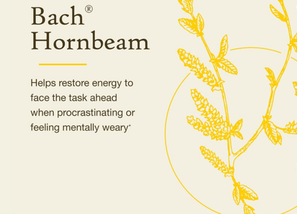Bach - Hornbeam | 20 mL
