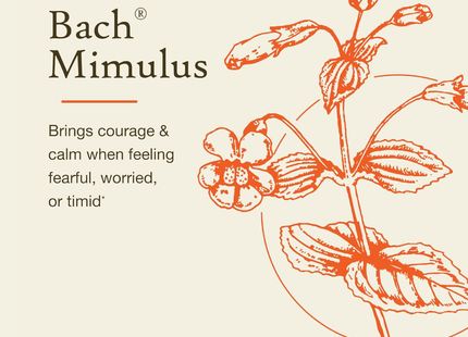 Bach - Face Your Fears Mimulus | 20 mL