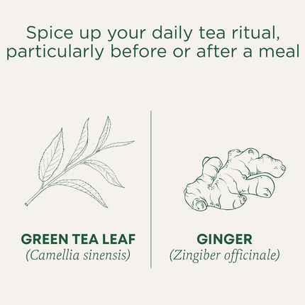 Traditional Medicinals - Organic Green Tea Ginger Tea Bags | 26g