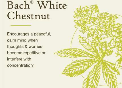 Bach - White Chestnut Calm The Mind | 20 mL