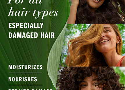 Herbal Essences - Argan Oil Shampoo