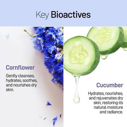 Refresh Botanicals - Oil Balancing Facial Cleanser
