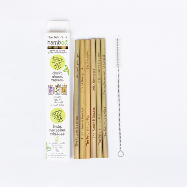 Future Is Bamboo - Bamboo Straws 6 Pk