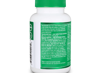 Organika - Ashwagandha 500 mg | 60 Capsules