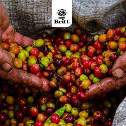 Cafe Britt - Costa Rican Light Roast Whole Bean Coffee | 300 g