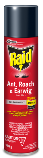 Raid - Ant, Roach, & Earwig Insect Killer 2 - Pressurized Spray | 350 g