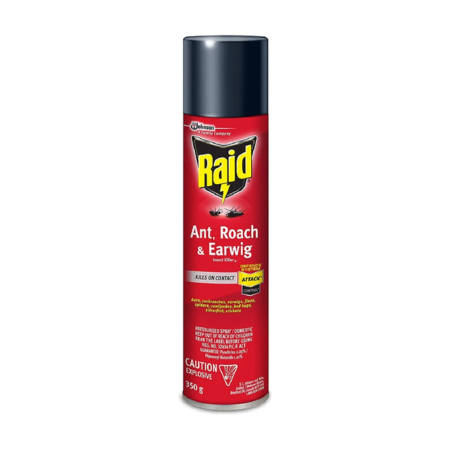 Raid - Ant, Roach, & Earwig Insect Killer 2 - Pressurized Spray | 350 g