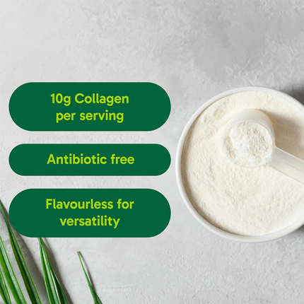 Organika - Enhanced Collagen | 250 g