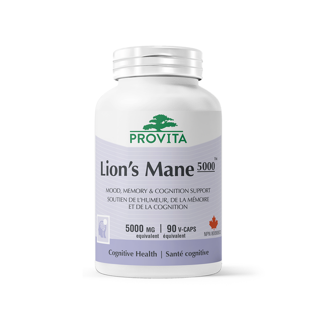 Provita - Lion's Mane 5000 | 90 Capsules