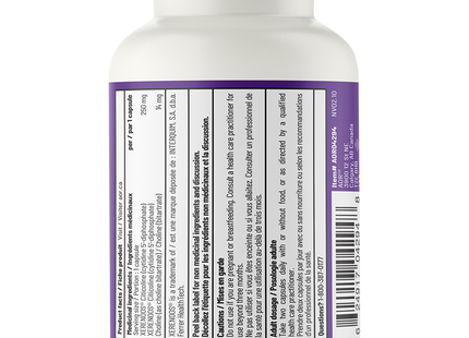AOR - Citicoline With Xerenoos 264 mg | 60 Vegi-Caps