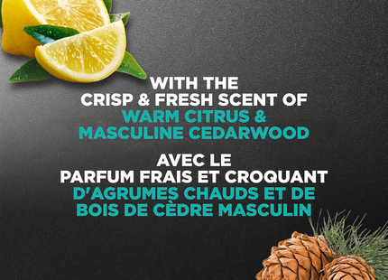 Dove - Men+Care Body + Face, Sea Salt & Citrus | 532 mL