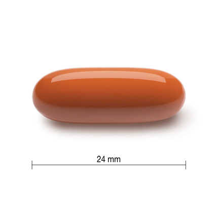 Jamieson - Multivitamines prénatales complètes à 100 % + DHA | 60 gélules