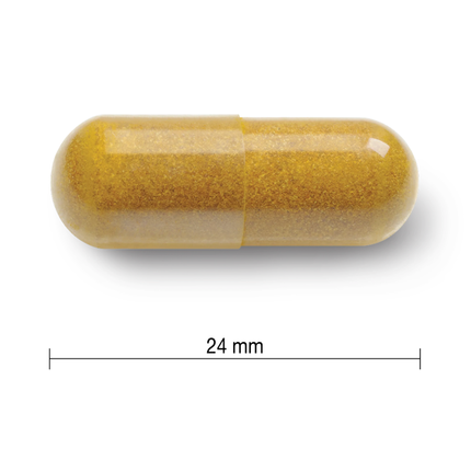Jamieson - Curcumine Curcuma, 550 mg | 60 gélules végétariennes