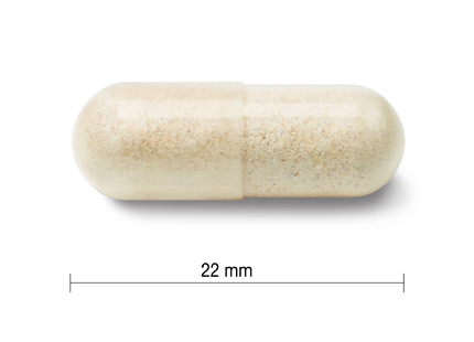 Jamieson - Ultra fort 60 milliards de probiotiques | 24 gélules végétariennes