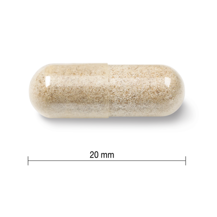 Jamieson - Fer Doux 28 mg | 90 capsules végétariennes