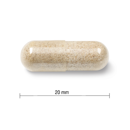 Jamieson - Fer doux 28 mg | 150 capsules végétariennes
