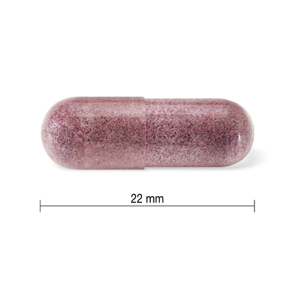 Jamieson - Soulagement du rhume et des infections des voies respiratoires supérieures, sureau noir | 45 capsules