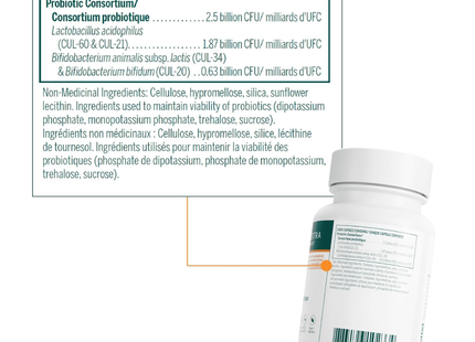 Genestra - HMF Capsules | 60 Capsules 