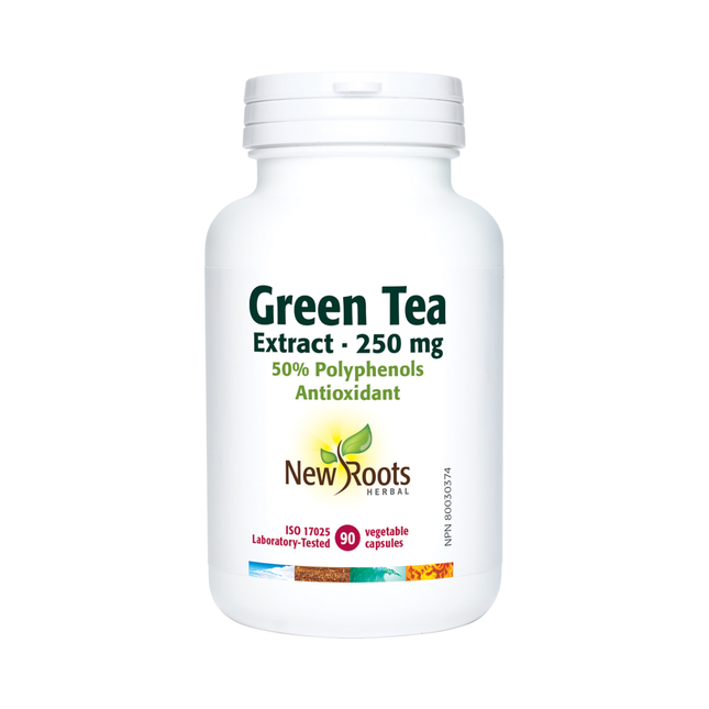 New Roots - Extrait de Thé Vert 250 mg 50 % Polyphénols | 90 gélules