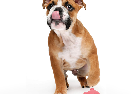 Hartz - Tuff Stuff Treat Hogging Piglet Dog Toy